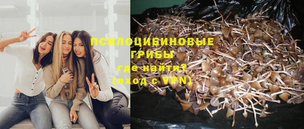 винт Алексин
