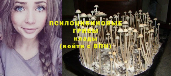 PSILOCYBIN Алексеевка
