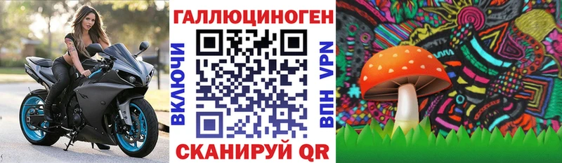 Псилоцибиновые грибы GOLDEN TEACHER  Лихославль 