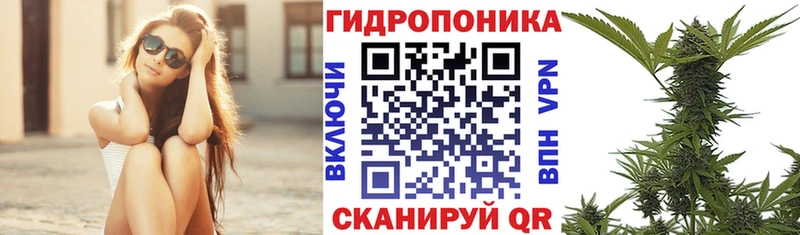 ОМГ ОМГ tor  Лихославль  Конопля семена 